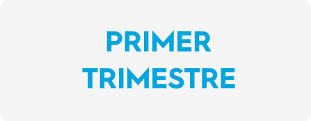 LDF Primer Trimestre SISMACC 2017