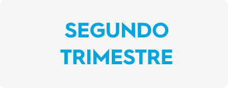 IFP 2do Trimestre Centralizada 2019