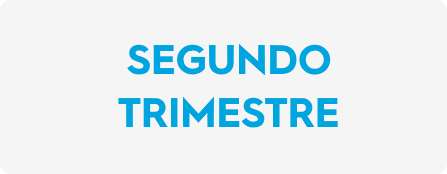 Título V Segundo Trimestre IMIPE 2017