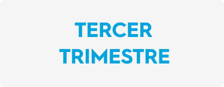 IFP Tercer Trimestre DIF 2017