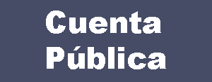 Cuenta Pública Descentralizada 2020