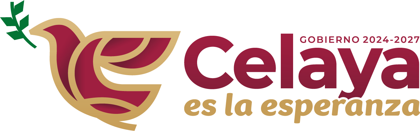 Municipio de Celaya